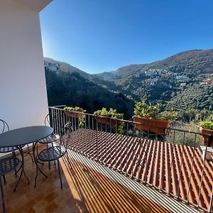 La Casa Di Luisa Appartamento 3 Camere